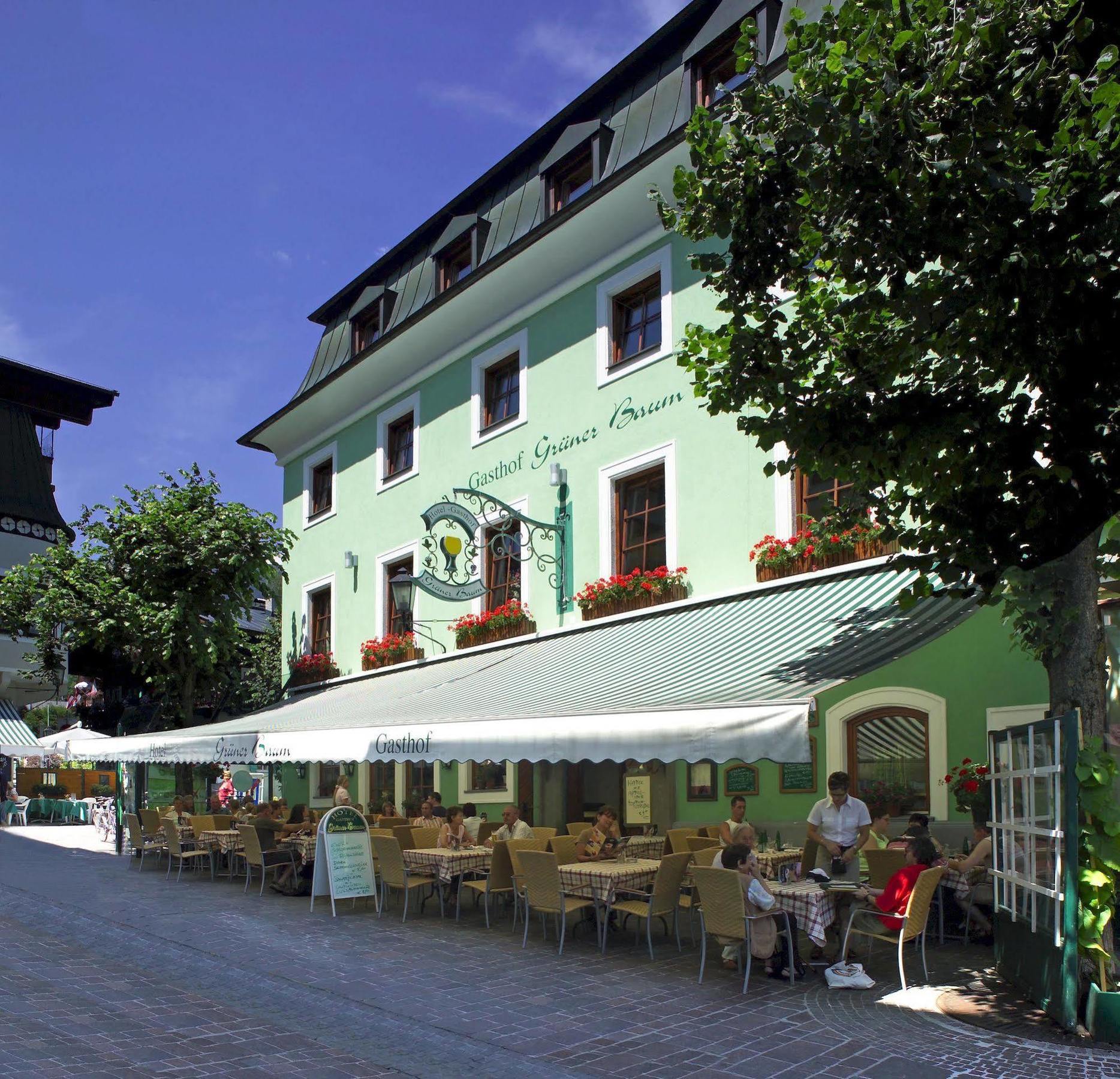 Gruener Baum 4*