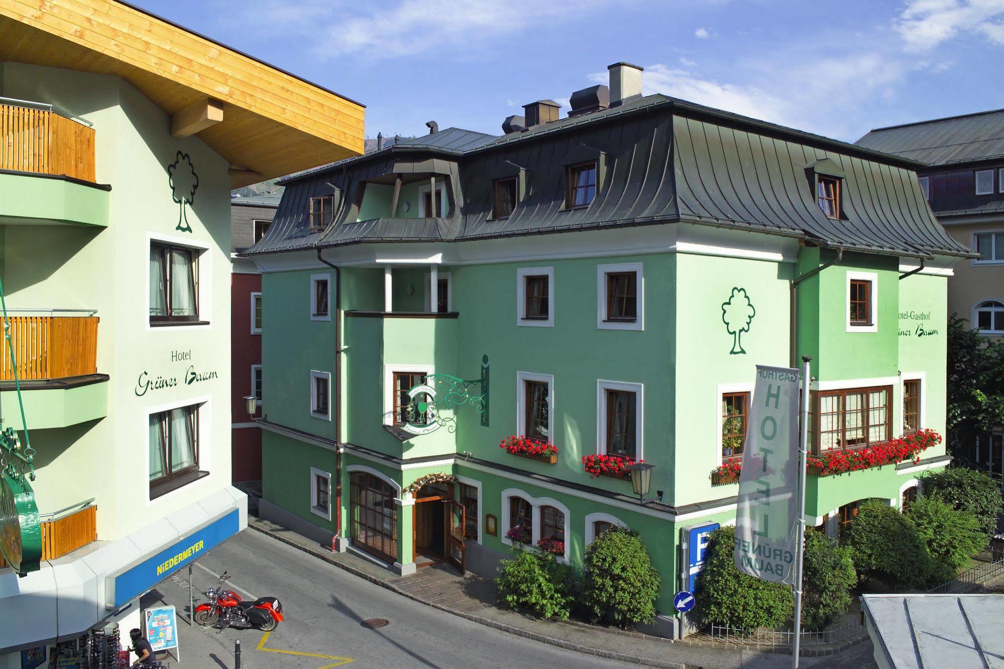 Gruener Baum