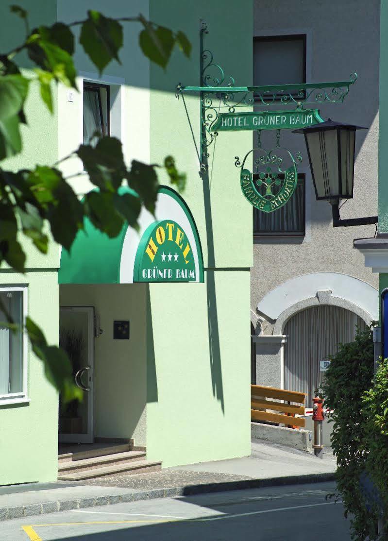 Gruener Baum